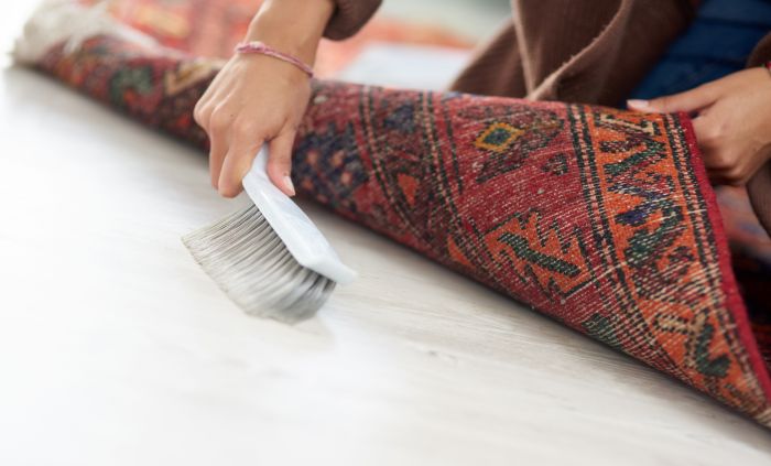 The Ultimate Guide to Area and Oriental Rug Cleaning Services in Orange County: Care, Maintenance, and Professional Insights